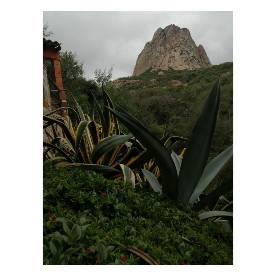 ברנל Hotel Casa Del Arbol מראה חיצוני תמונה