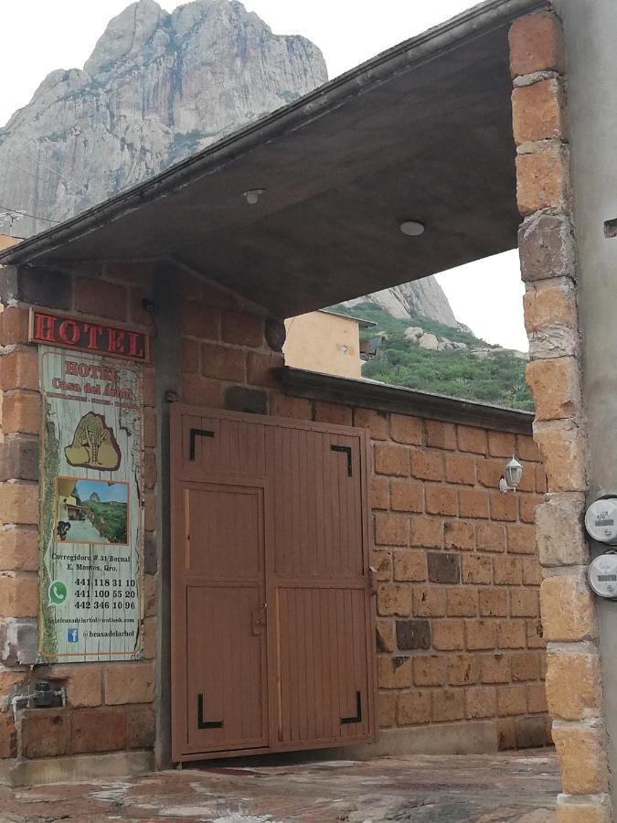 ברנל Hotel Casa Del Arbol מראה חיצוני תמונה