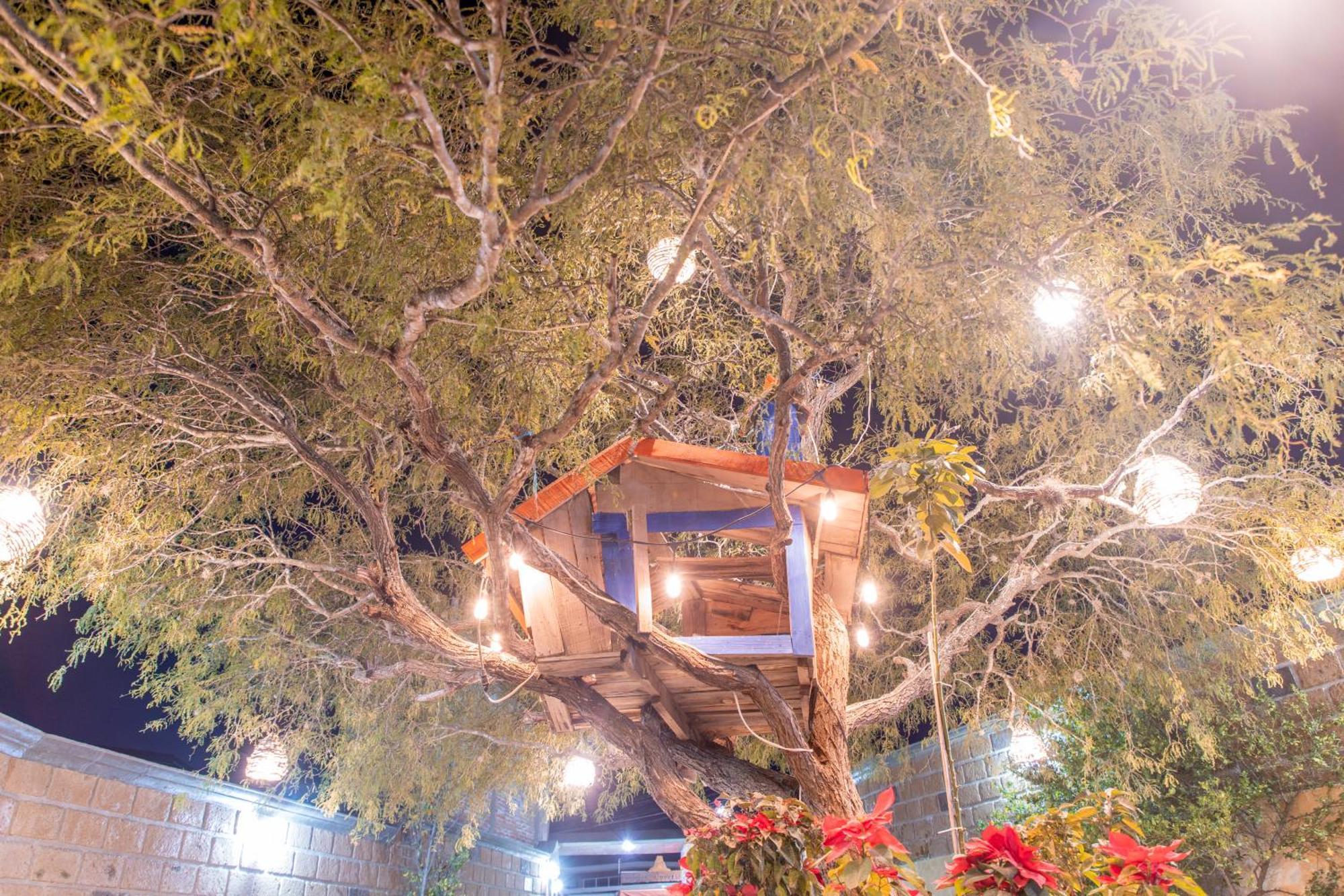 ברנל Hotel Casa Del Arbol מראה חיצוני תמונה